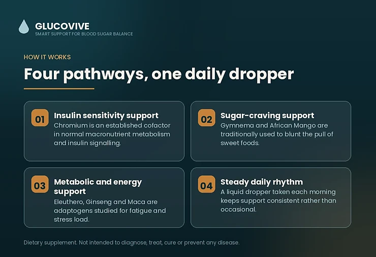 How GlucoVive works